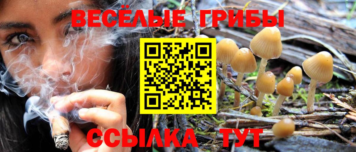 Галлюциногенные грибы Magic Shrooms Ижевск